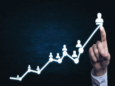 Portfolio management services